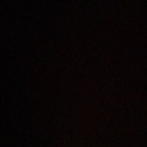 Meet your Posher, Toni